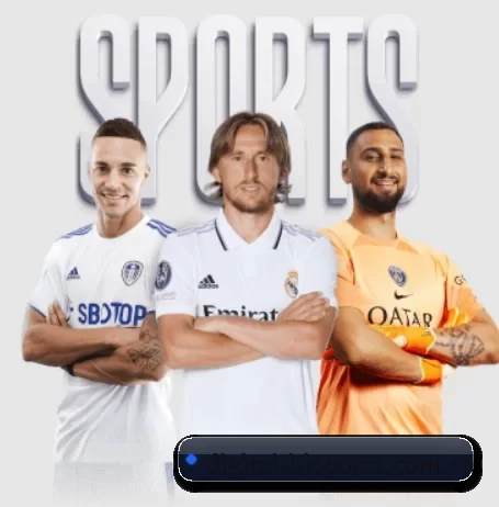 digital-bisports.com.cn的故事 - 体育资讯内容服务